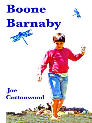 cover image of Boone Barnaby